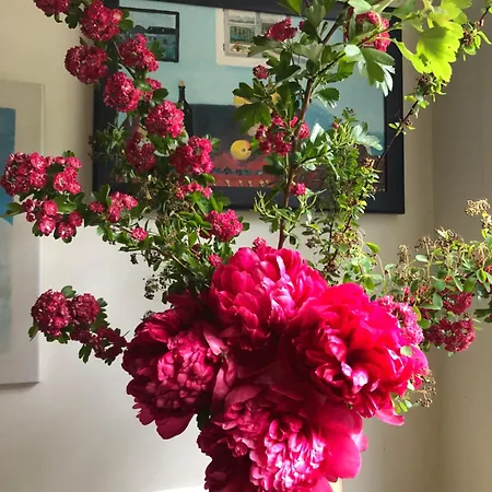 Cosy Et Arty Paříž